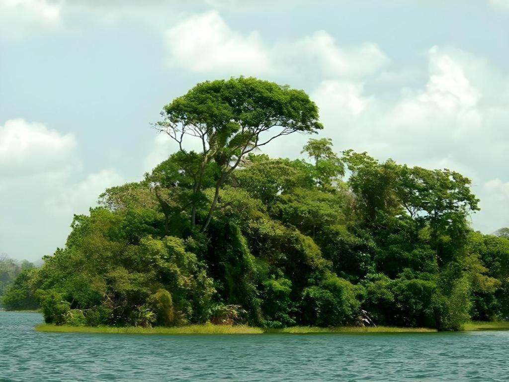 Hotel Melia Panama Canal Colon Eksteriør bilde